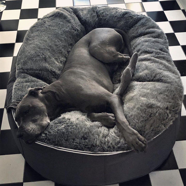 (XXL) Luxury Indoor/Outdoor Dog Bed (original)