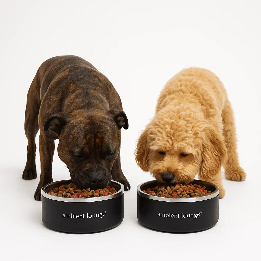 Stainless Steel Dog Bowls