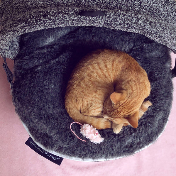 Cat Bed with Hoodie