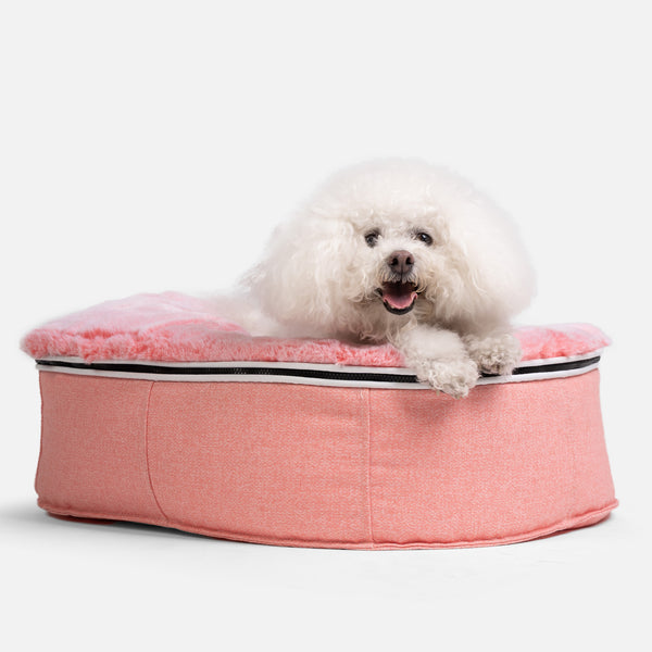 Small Luxury Dog Bed - Interior/Outdoor