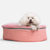 Small Luxury Dog Bed - Interior/Outdoor