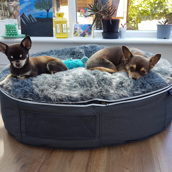 Small Luxury Dog Bed - Interior/Outdoor