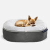 Small Luxury Dog Bed - Interior/Outdoor