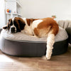 XXL Luxury Dog Bed - Interior/Outdoor