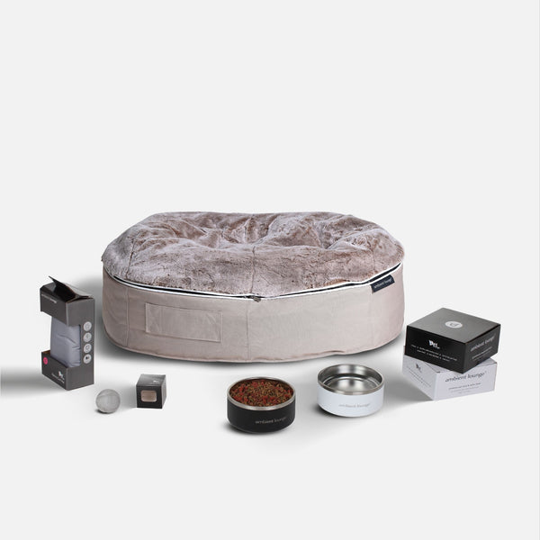 Großes Hunde-Basics-Paket