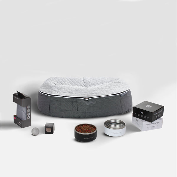 Großes Hunde-Basics-Paket