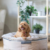 Medium Rebound Foam Mattress Dog Bed - Interior/Outdoor