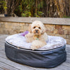 Medium Rebound Foam Mattress Dog Bed - Interior/Outdoor