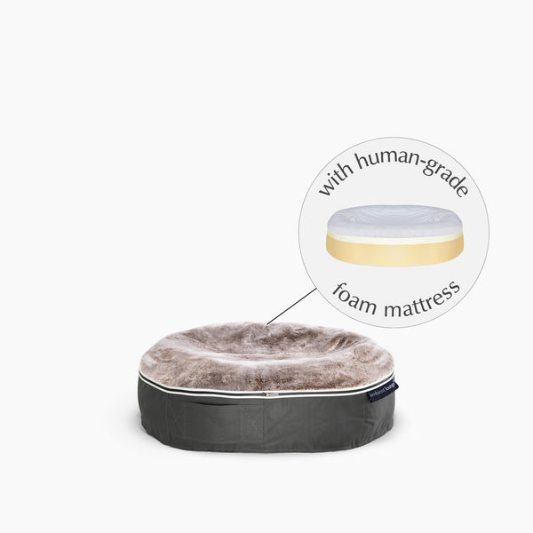 Small Rebound Foam Mattress Dog Bed - Interior/Outdoor