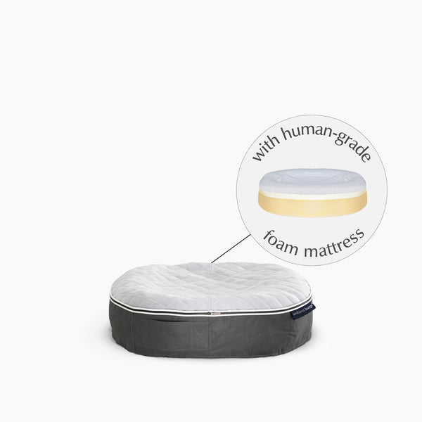 Small Rebound Foam Mattress Dog Bed - Interior/Outdoor