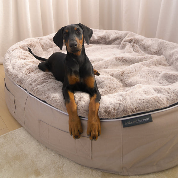 XXL Rebound Foam Mattress Dog Bed - Interior/Outdoor