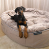 XXL Rebound Foam Mattress Dog Bed - Interior/Outdoor