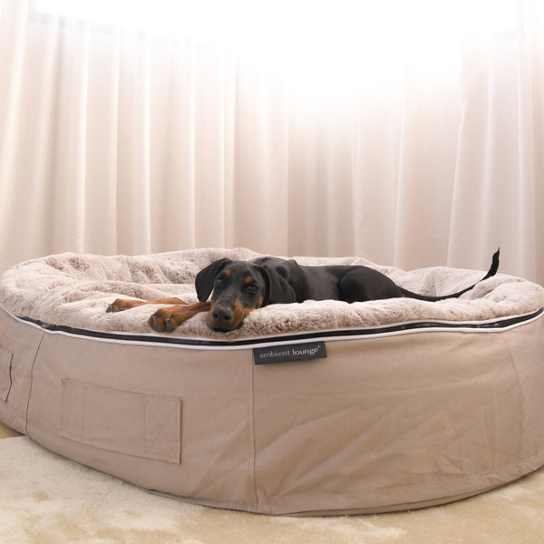 XXL Rebound Foam Mattress Dog Bed - Interior/Outdoor