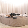 XXL Rebound Foam Mattress Dog Bed - Interior/Outdoor