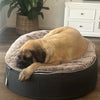 XXL Rebound Foam Mattress Dog Bed - Interior/Outdoor