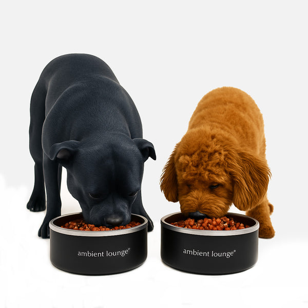 1L Double-Wall Stainless Steel Food & Water Dog Bowl (Set of 2)