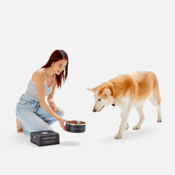 2L Double-Wall Stainless Steel Food & Water Dog Bowl