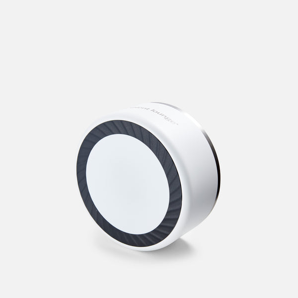 2L Double-Wall Stainless Steel Food & Water Dog Bowl