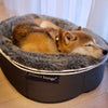 (M) Luxury Indoor/Outdoor Dog Bed (original)