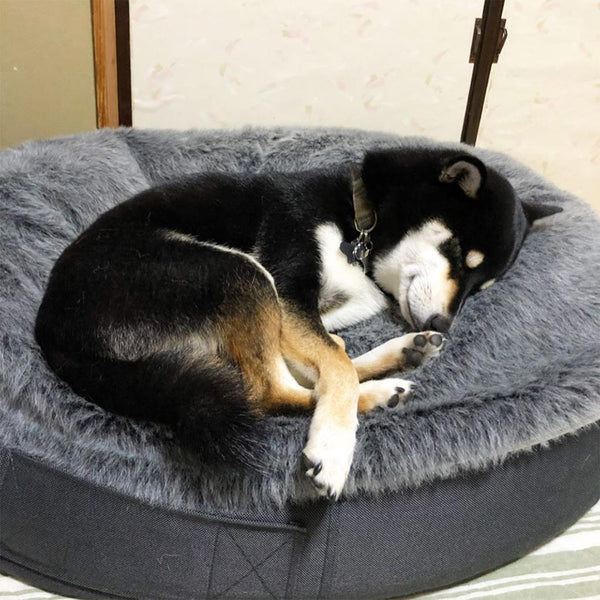 (M) Luxury Indoor/Outdoor Dog Bed (original)