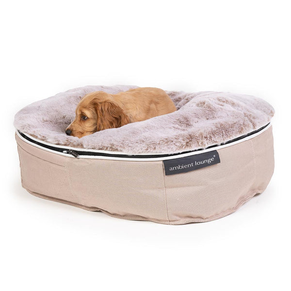 (S) Premium Indoor/Outdoor Dog Bed (Cappuccino)