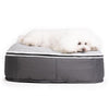 (S) Premium ThermoQuilt Dog Bed (grey)