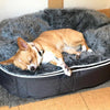 (S) Luxury Indoor/Outdoor Dog Bed (original)