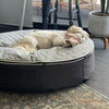 (M) Premium ThermoQuilt Dog Bed (grey)