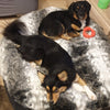 (L) Premium Indoor/Outdoor Dog Bed (Wild Animal)