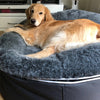 (L) Luxury Indoor/Outdoor Dog Bed (original)