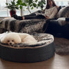 (M) Premium Indoor/Outdoor Dog Bed (Wild Animal)