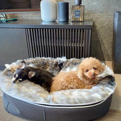 (S) Premium Indoor/Outdoor Dog Bed (Wild Animal) Ambient