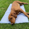 (L) ThermoCool Multi-Purpose Dog Mat