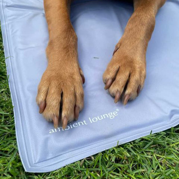 (L) ThermoCool Multi-Purpose Dog Mat