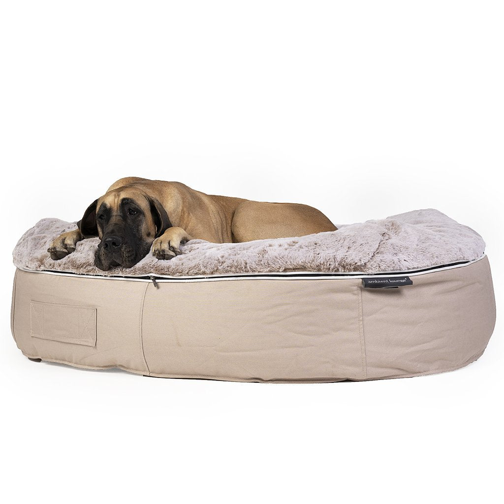 Ambient dog bed sale