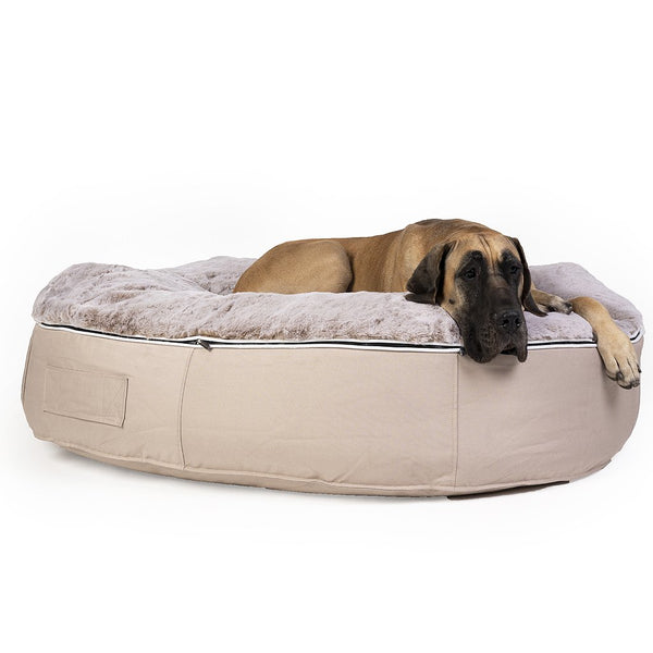 (XXL) Premium Indoor/Outdoor Dog Bed (Cappuccino)