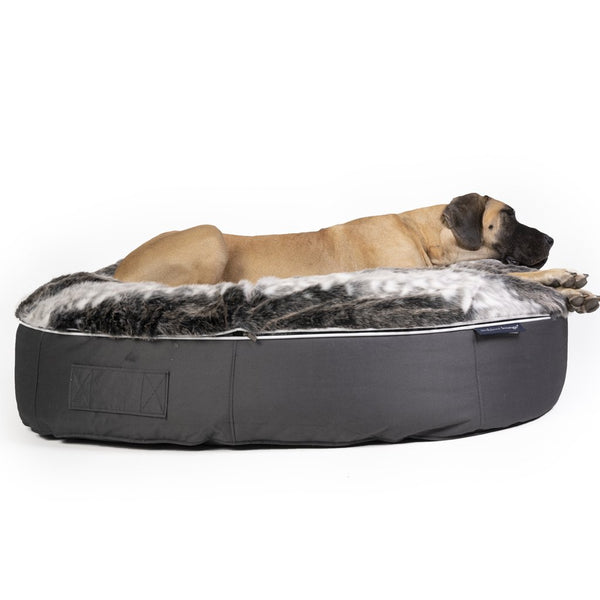 (XXL) Premium Indoor/Outdoor Dog Bed (Wild Animal)